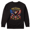 America 250 Years We The People Patriotic Eagle Anniversary - Sweater