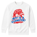 WTF Is A Kilomiter? - Sweater